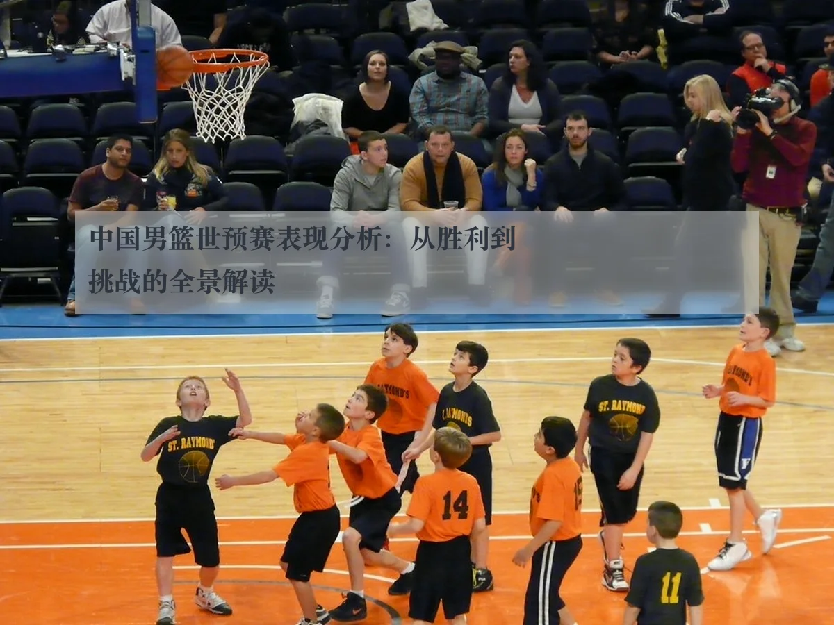 中国男篮世预赛表现分析：从胜利到挑战的全景解读